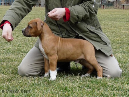 He is Redbolt Meloun